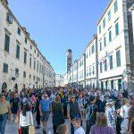 dubrovacka trpeza 23