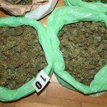 marihuana opuzen 1