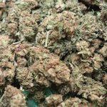 marihuana opuzen 3