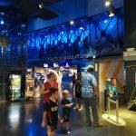 nikola djurasovic space center 2