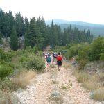ante curac 3