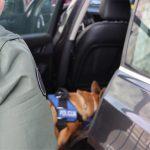 droga policija trebinjac brgat 1