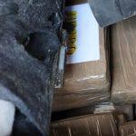 droga policija trebinjac brgat 4