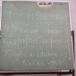 tolj ploca zg salon1