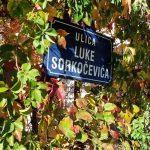 ulica luke sorkocevica 3