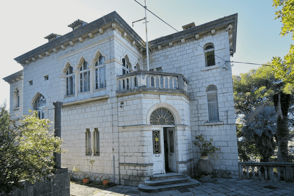 cingrija 1