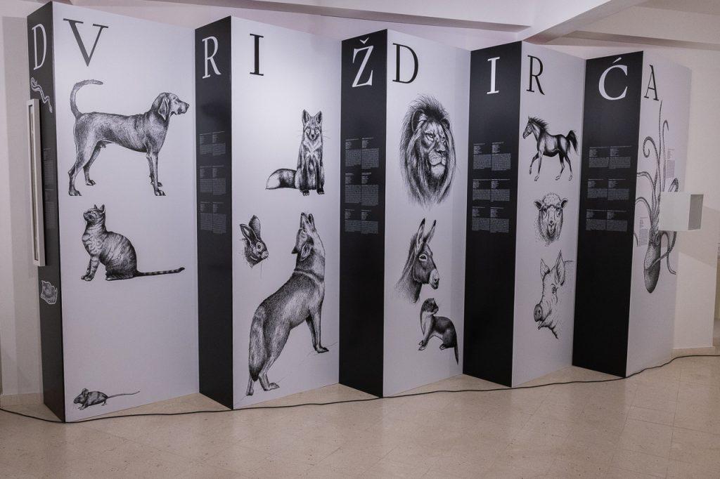 izlozba drzicev zivotinjski svijet 08122023 vlevi 2822