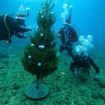 maro mitrovic diving center blue planet 1