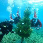 maro mitrovic diving center blue planet 4
