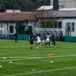 sharks flag festival 1