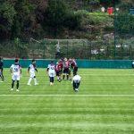 sharks flag festival 2