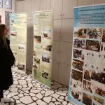tus dubrovnik izlozba uz dan branitelja dubrovnika
