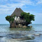 vukovic zanzibar 1