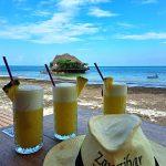 vukovic zanzibar 2