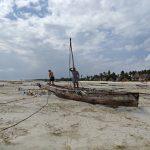 vukovic zanzibar 3