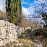 camino 1 web