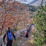 camino 2 web