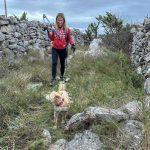 camino 5 web