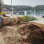 nove palme cavtat1