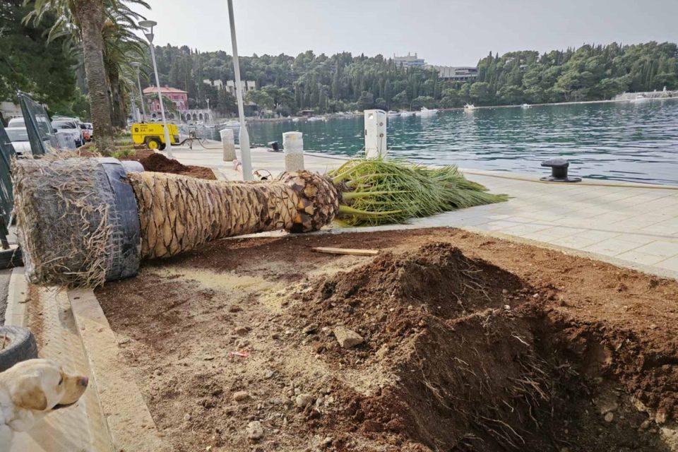 nove palme cavtat1