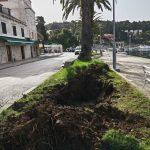 nove palme cavtat2