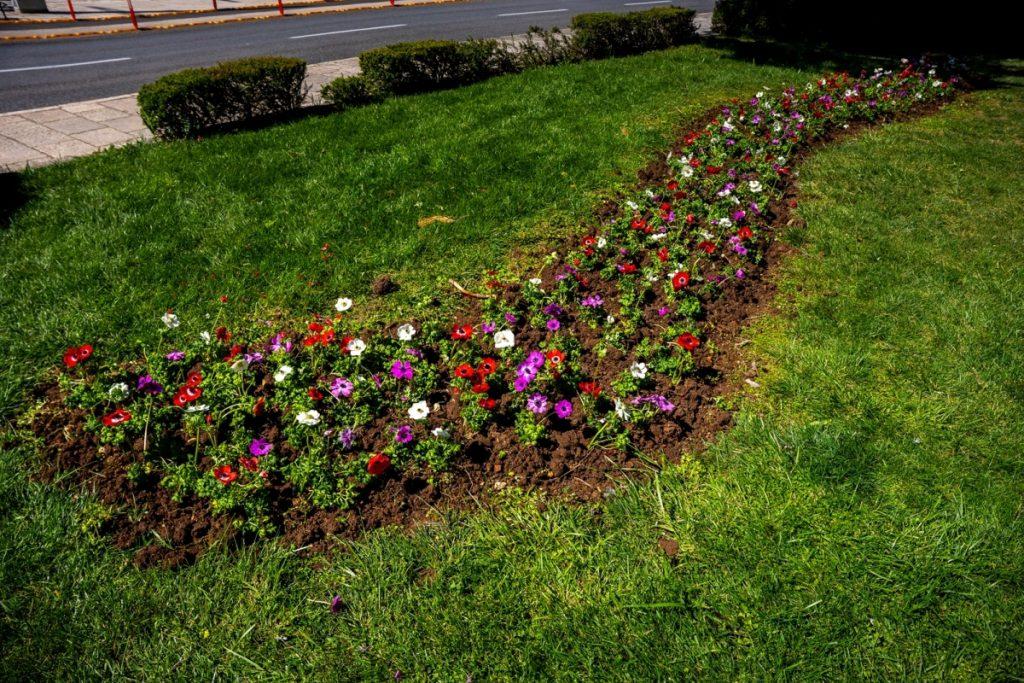 [FOTO] Vrtlarovi djelatnici u proljetnom uređenju grada
