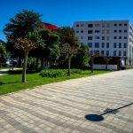Vrtlar proljetna sadnja 22