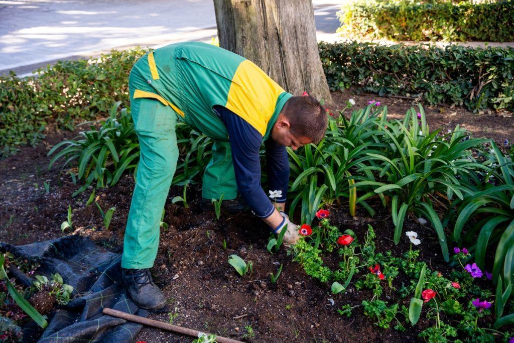 [FOTO] Vrtlarovi djelatnici u proljetnom uređenju grada