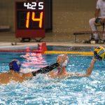 jug adriatic osiguranje vasas gruz 10