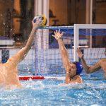 jug adriatic osiguranje vasas gruz 12