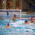 jug adriatic osiguranje vasas gruz 15