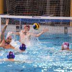 jug adriatic osiguranje vasas gruz 18