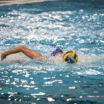 jug adriatic osiguranje vasas gruz 6