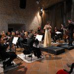 revelin koncert dso i mladih iz umjetnicke skole 17