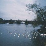 ceska prag 3