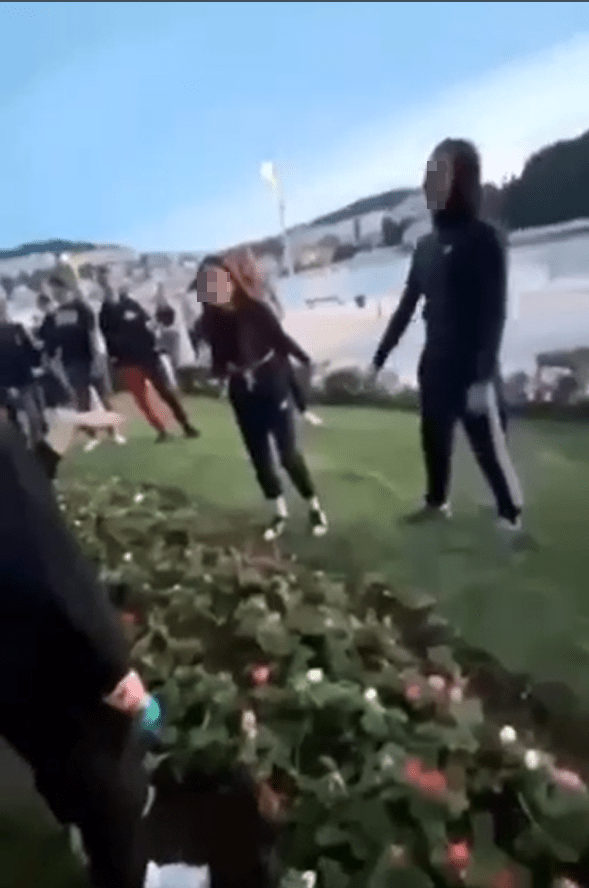 ALARMANTNO! MALOLJETNIČKO NASILJE UZELO MAHA Pojavio se video iz Gruža! Ista osoba terorizira djevojčice