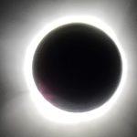 pomrcina sunca pacifik djurasovic7