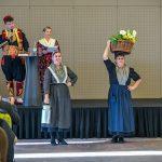 revija zupskih nosnji sheraton 7