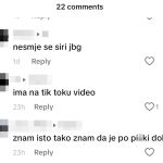 tiktok komentari nasilje 1
