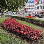 Park Luja Soletica 7