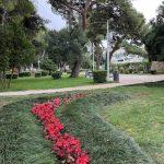 Park Luja Soletica 8