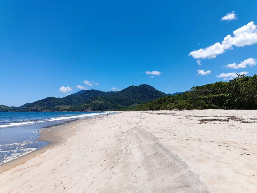 Puruba 3