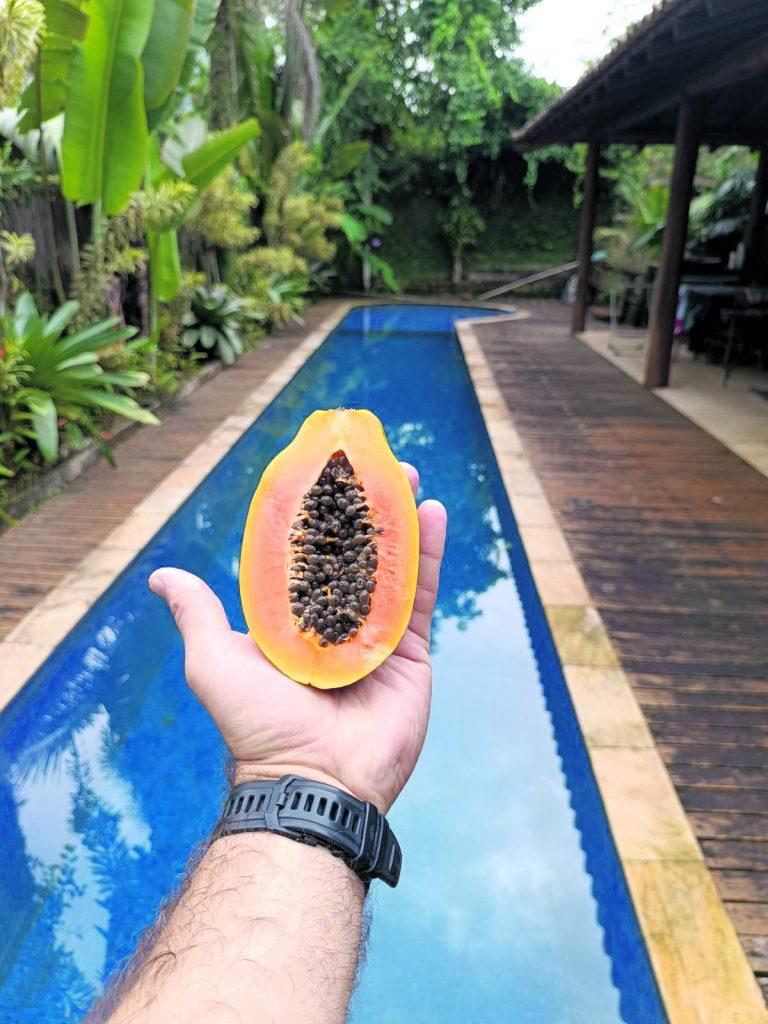 c Papaya