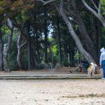 gradac