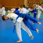 judo 8