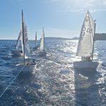 lapadska regata 2024