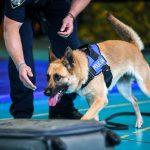 policija mup vjezba 31