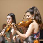 violina 1