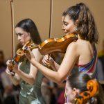 violina