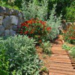 vrt mljet2